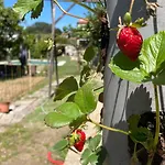 Quinta De Villasete Kır Evi
