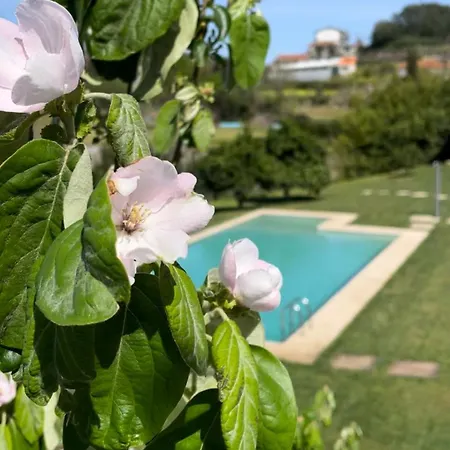 Quinta De Villasete Alpendurada