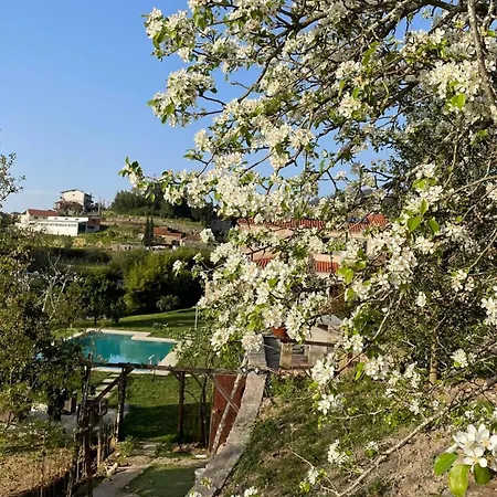 Quinta De Villasete Εξοχικό σπίτι