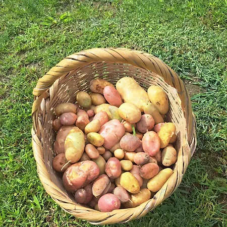 Quinta De Villasete *