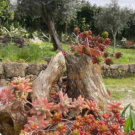 Quinta De Villasete * Alpendurada