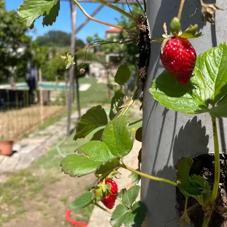 Quinta De Villasete Εξοχικό σπίτι