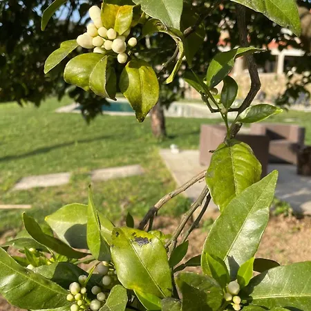 Quinta De Villasete *
