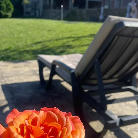 Quinta De Villasete Εξοχικό σπίτι *