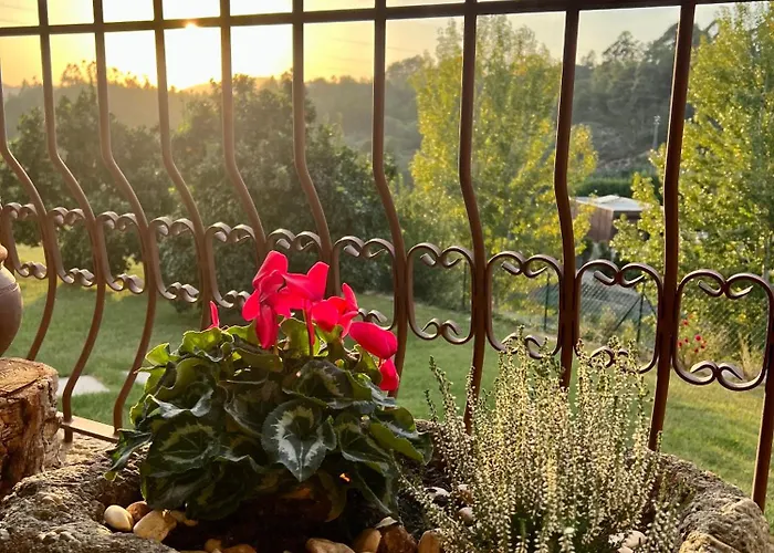 Casa rural Quinta De Villasete Alpendurada