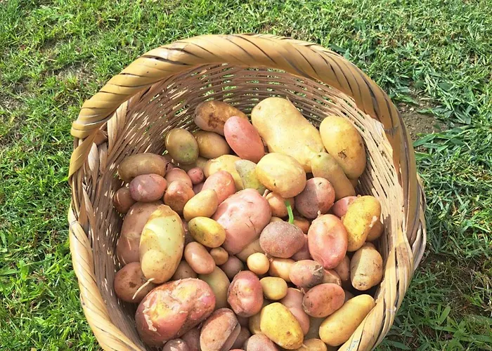 Quinta De Villasete *