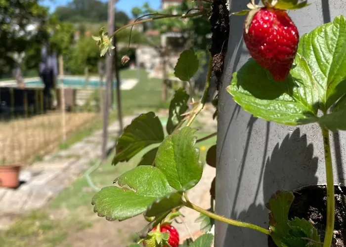 Quinta De Villasete 컨트리하우스