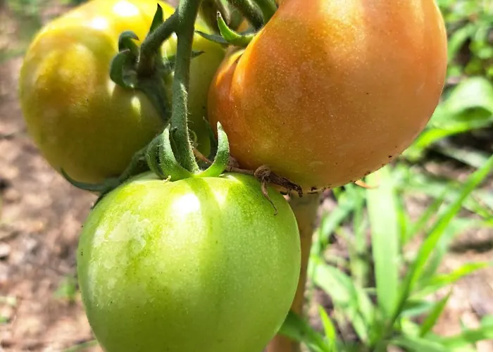 Quinta De Villasete Casa rural *